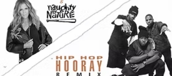 HIP HOP HOORAY (REMIX)