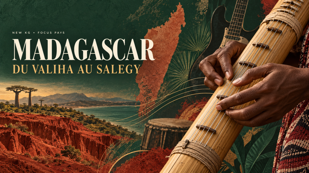 Mains jouant du valiha devant une carte de Madagascar, illustrant la musique malgache du valiha au salegy.